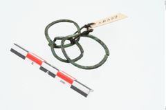 Foto von Bronzering (NHMW-PRAE-026337)